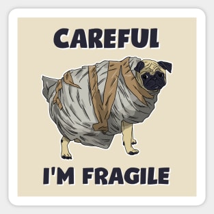 Careful, I'm Fragile Sticker